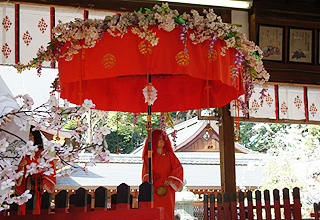 やすらい祭の概要写真