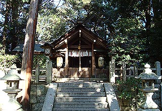の見所