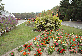 京都府立植物園