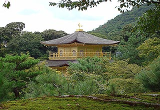 の見所