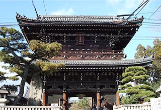 の見所