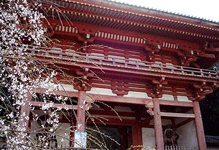 醍醐寺