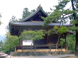 の見所